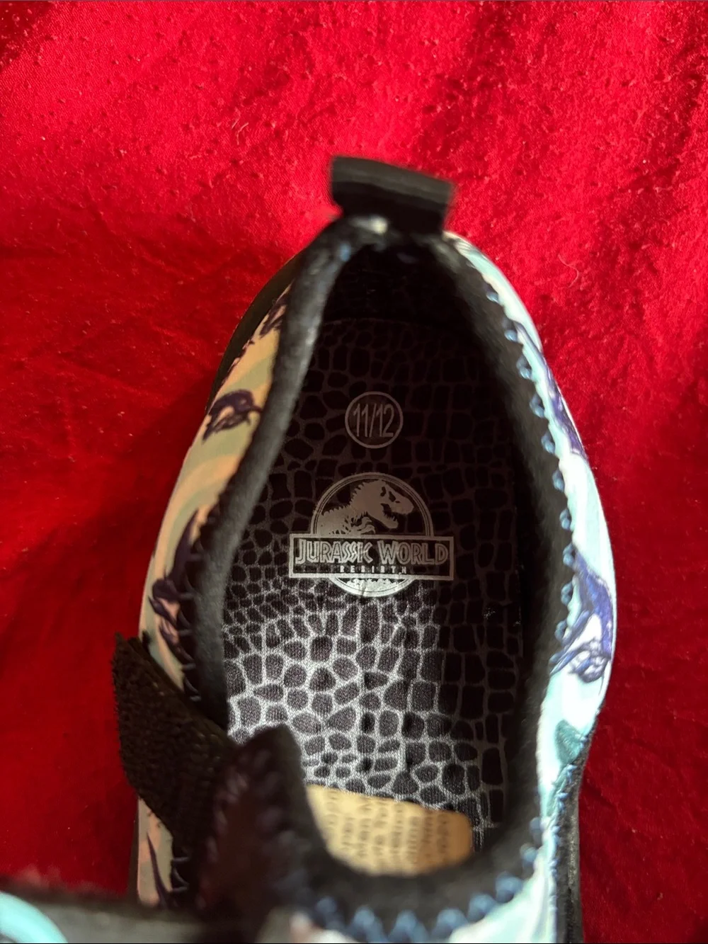 Kids Blue Dinosaur-Print Slip-On Water Shoes